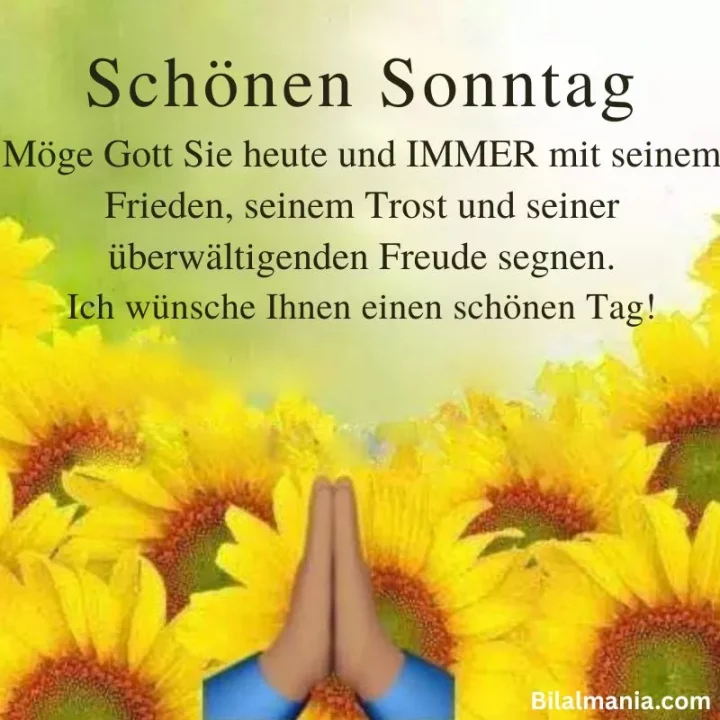 schönen sonntag bilder
