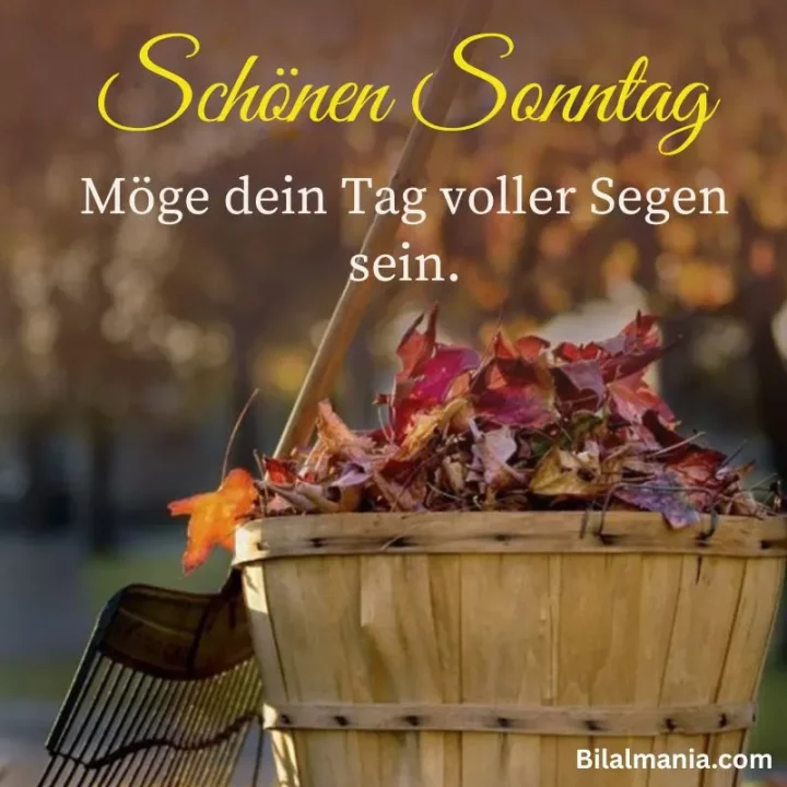 schönen sonntag bilder