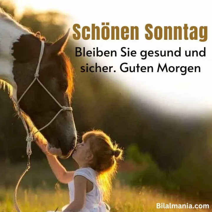 schönen sonntag sonntagsgrüße