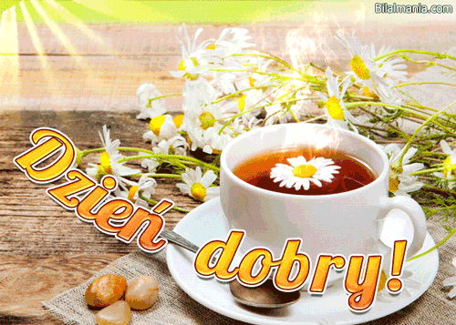 ▶️50+ Free Najładniejsze Gify na Dzień Dobry Gify na Dzień Dobry