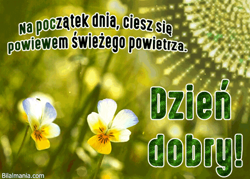 ▶️50+ Free Najładniejsze Gify na Dzień Dobry gify na dzien dobry whatsapp