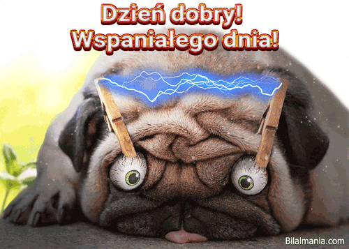 ▶️50+ Free Najładniejsze Gify na Dzień Dobry najładniejsze gify na dzień dobry
