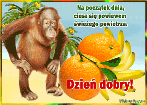 ▶️50+ Free Najładniejsze Gify na Dzień Dobry Piekne Gify na Dzień Dobry