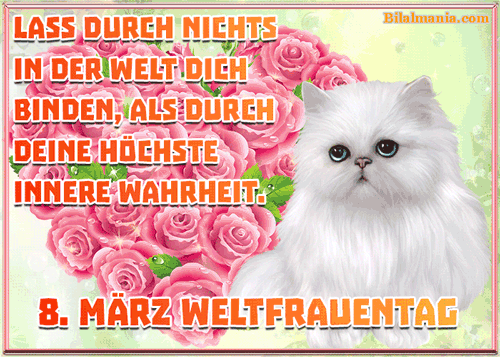Frauentag 2025 Bilder Gif & Sprüche – Die schönsten Wünsche frauentag gif