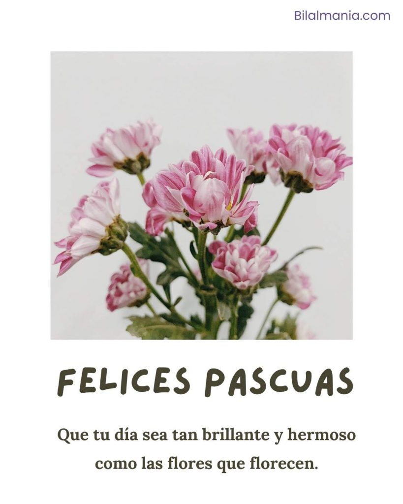 Saludo de Feliz Pascua