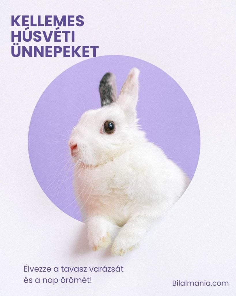 Kellemes Húsvéti Ünnepeket Köszöntők