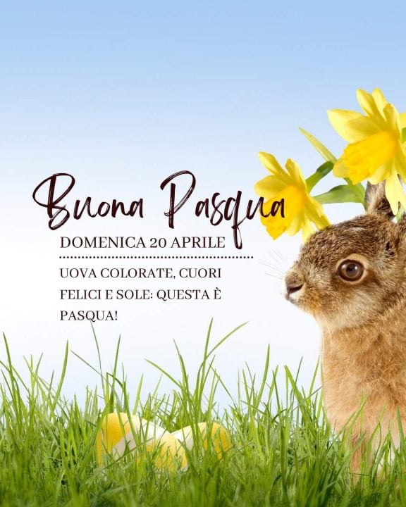 buona pasqua immagini belle