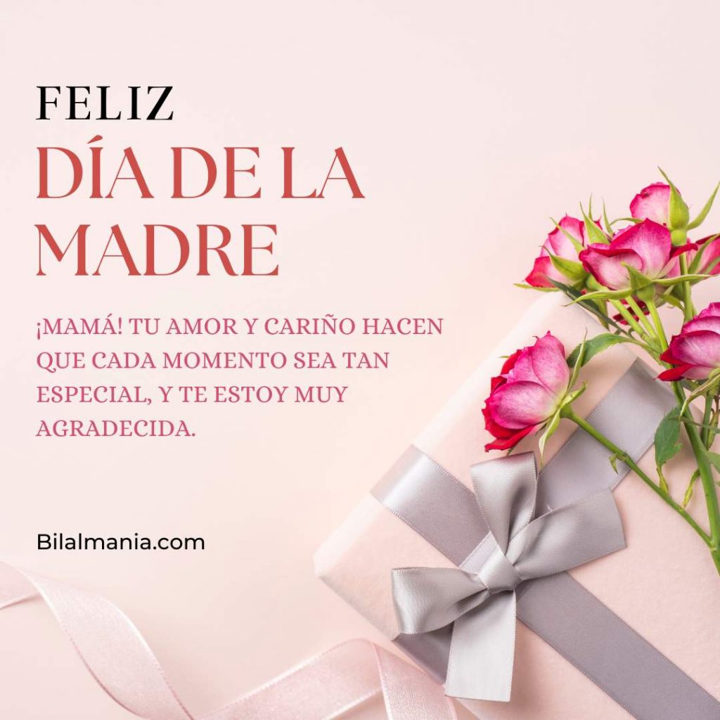feliz dia de la madre frases