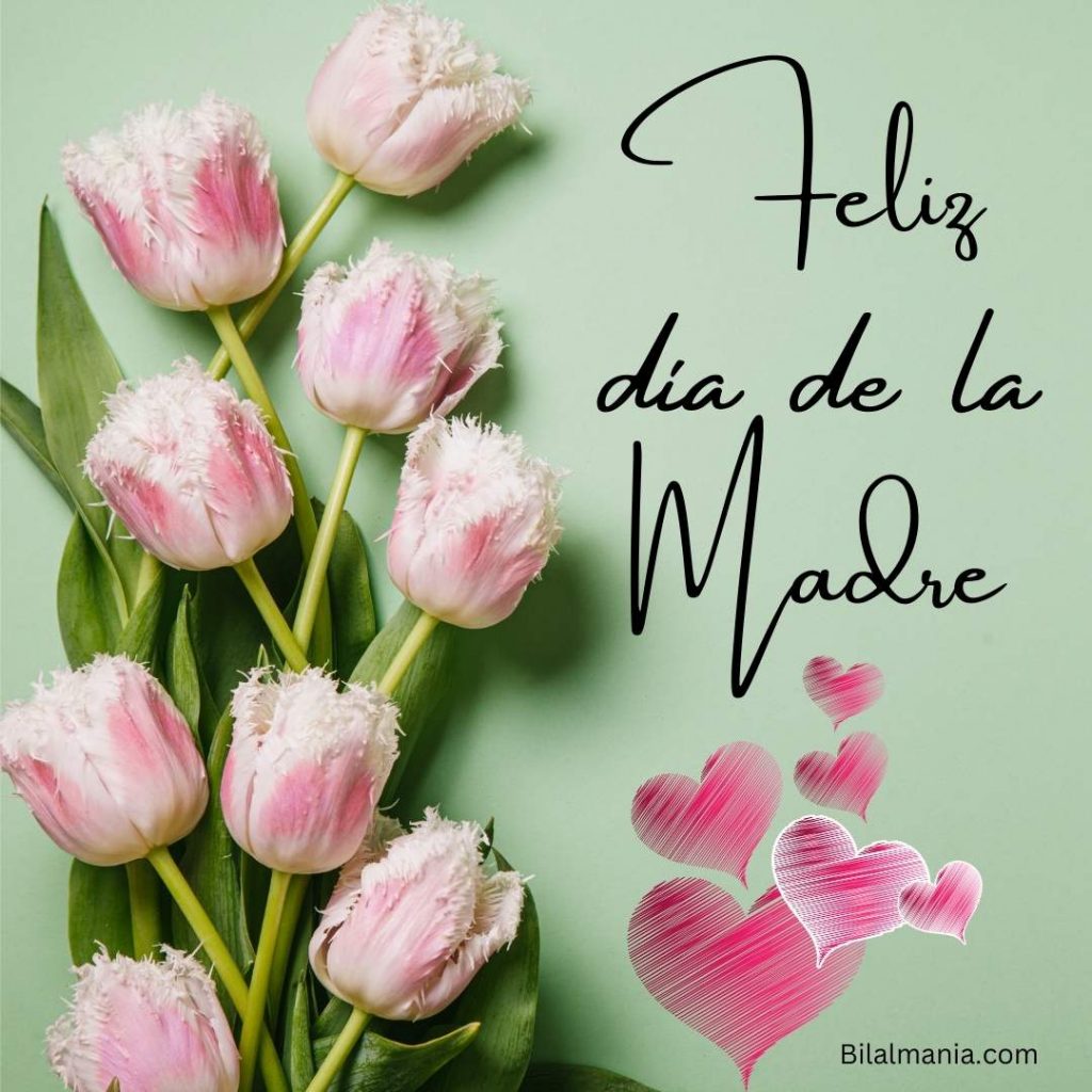 imagenes de feliz día de la madre