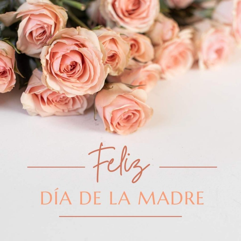 imagenes de feliz día de la madre