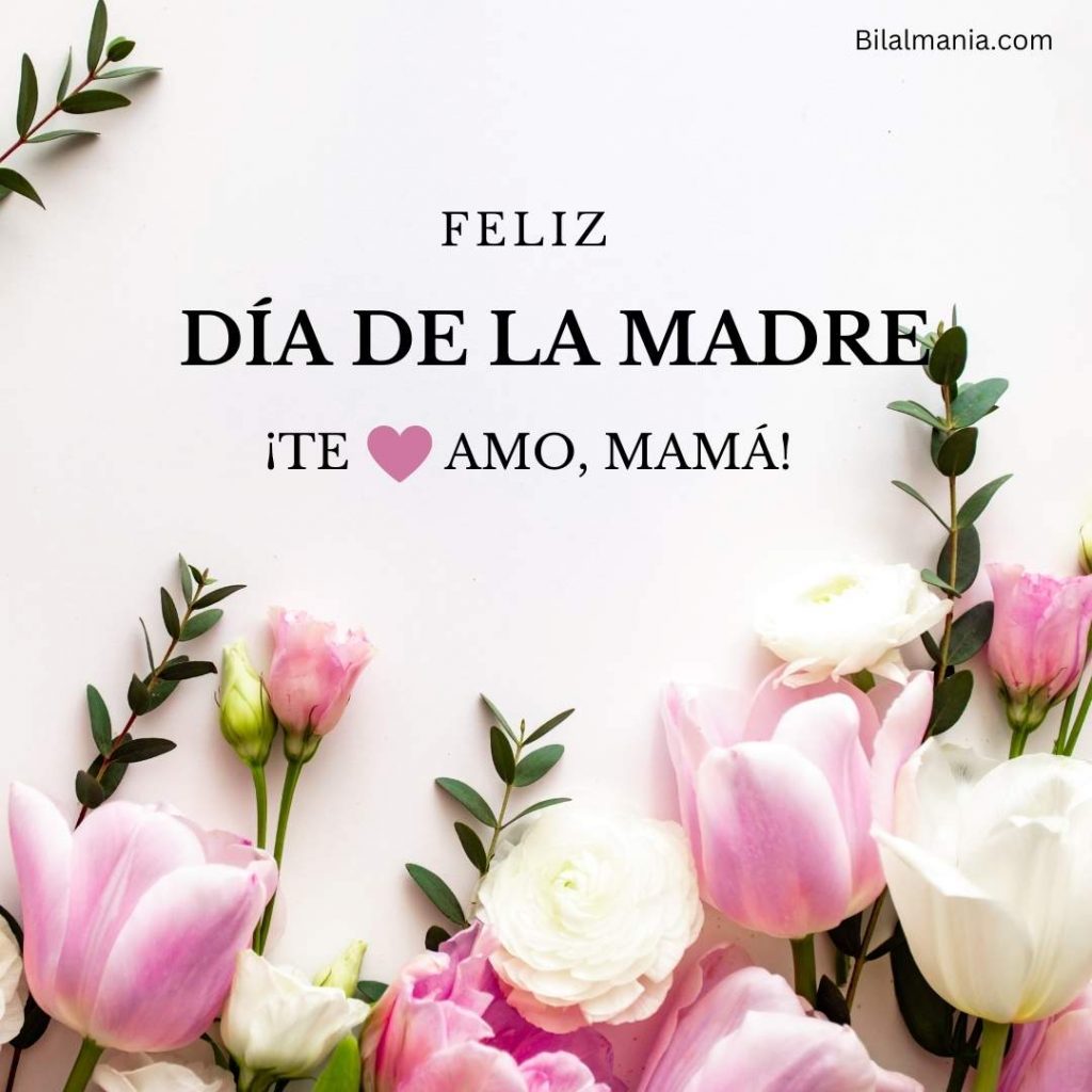 Feliz Día de la Madre Mamá Frases