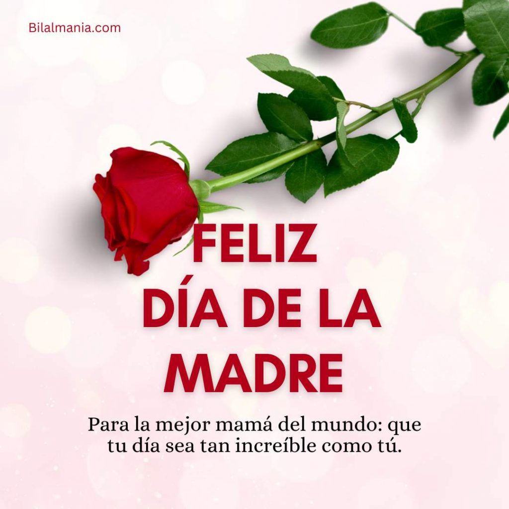 Feliz Día de la Madre Mamá Frases