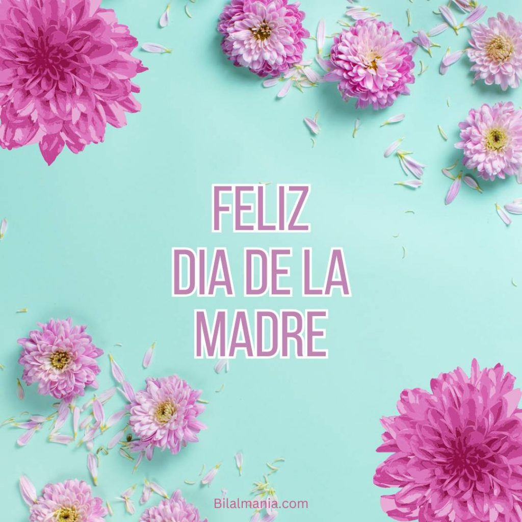 feliz dia de la madre frases