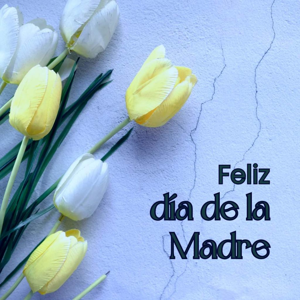 imagenes de feliz día de la madre