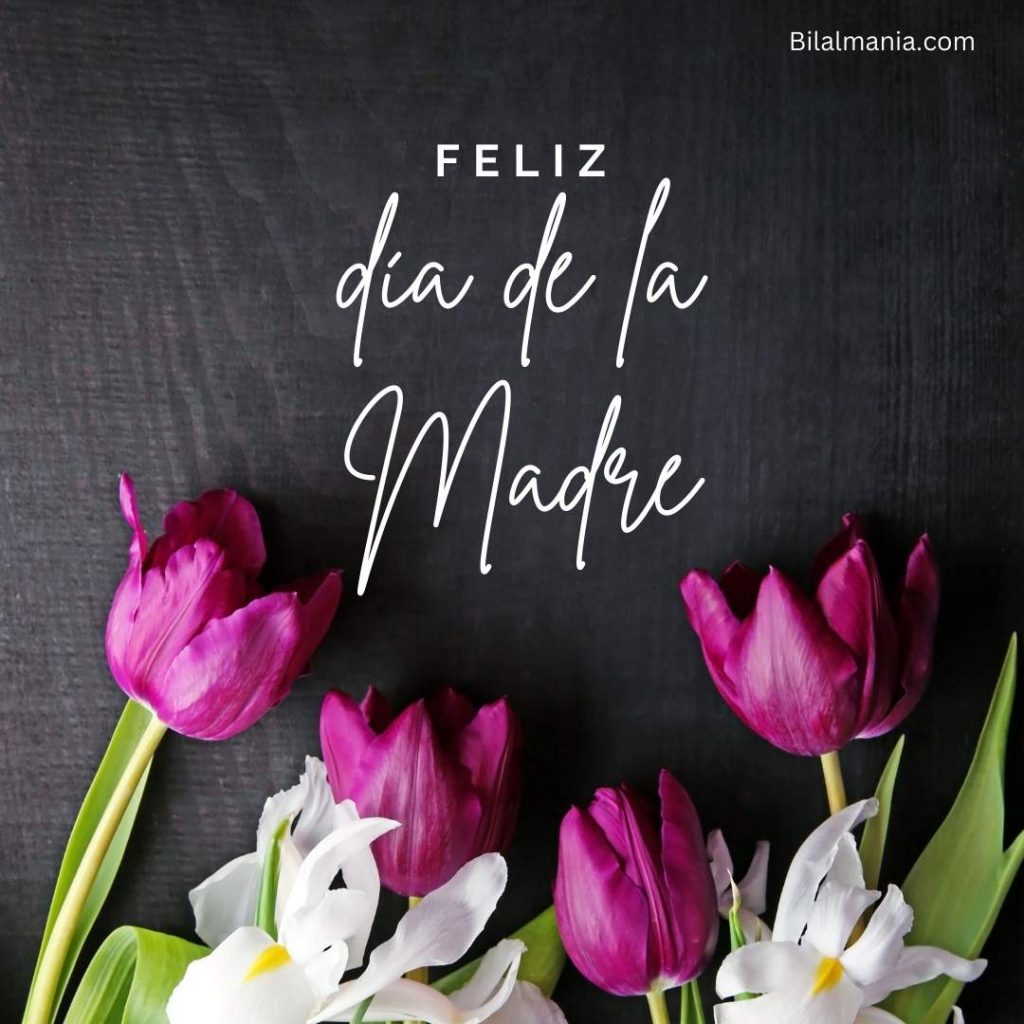 imágenes día de la madre gratis