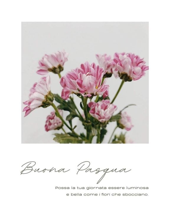 immagini buona pasqua