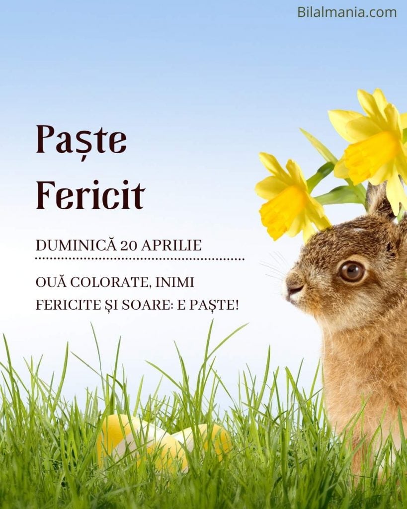 Paște fericit imagini