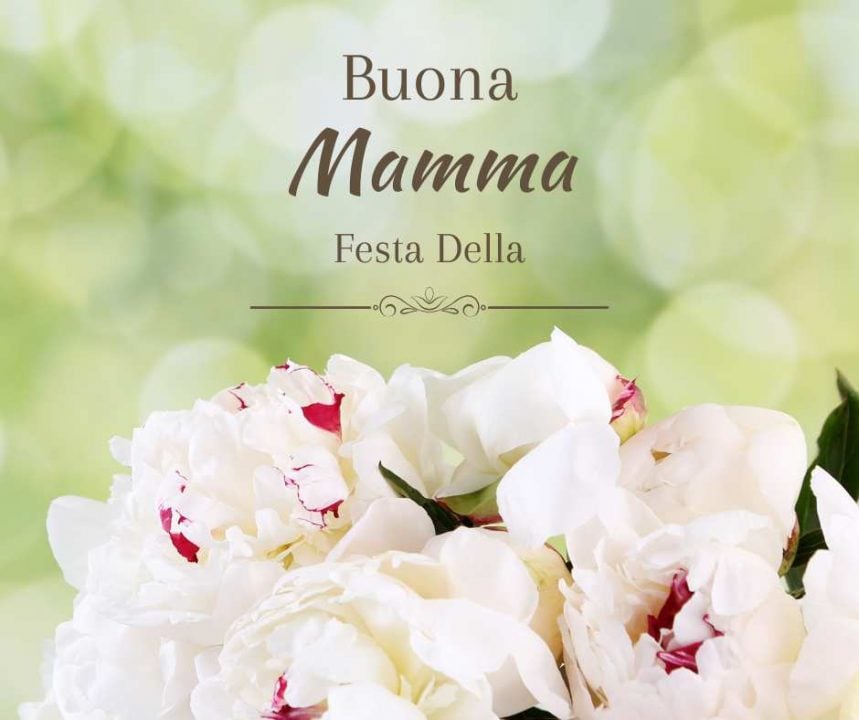 buongiorno buona festa della mamma