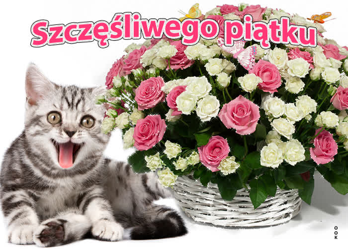 🔥50+ Dzień Dobry w Piątek – Piękne Gify i Obrazki Dzień Dobry Piątek