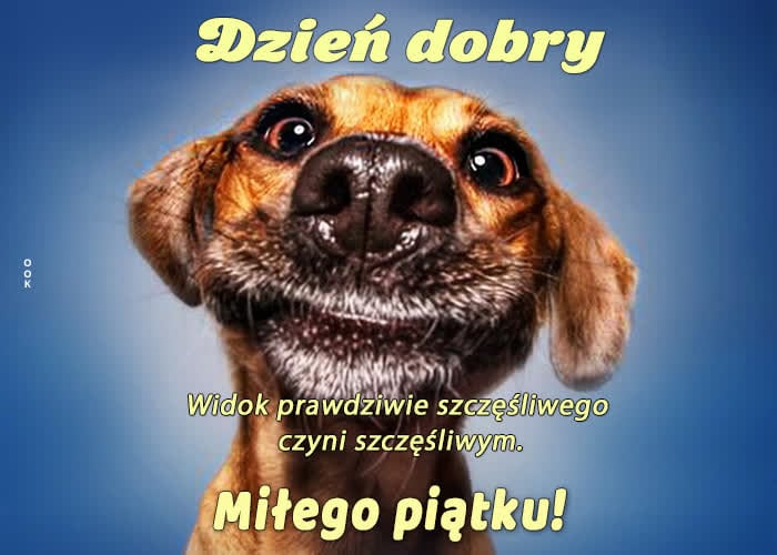 🔥50+ Dzień Dobry w Piątek – Piękne Gify i Obrazki dzien dobry w piatek smieszne