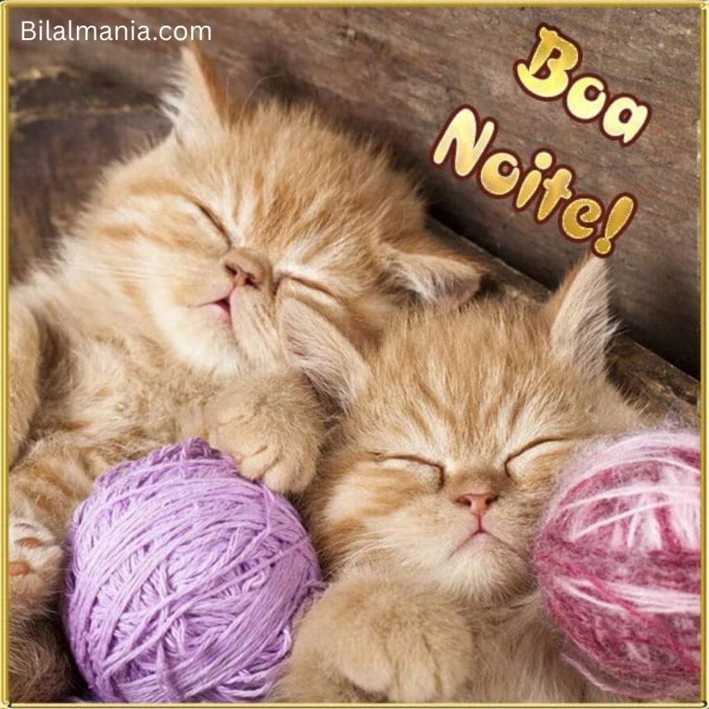 🔥 100+ Imagens de Boa Noite e Mensagens para WhatsApp fotos de boa noite lindas