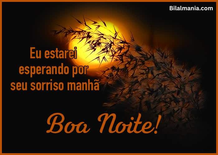 🔥 100+ Imagens de Boa Noite e Mensagens para WhatsApp imagens de boa noite