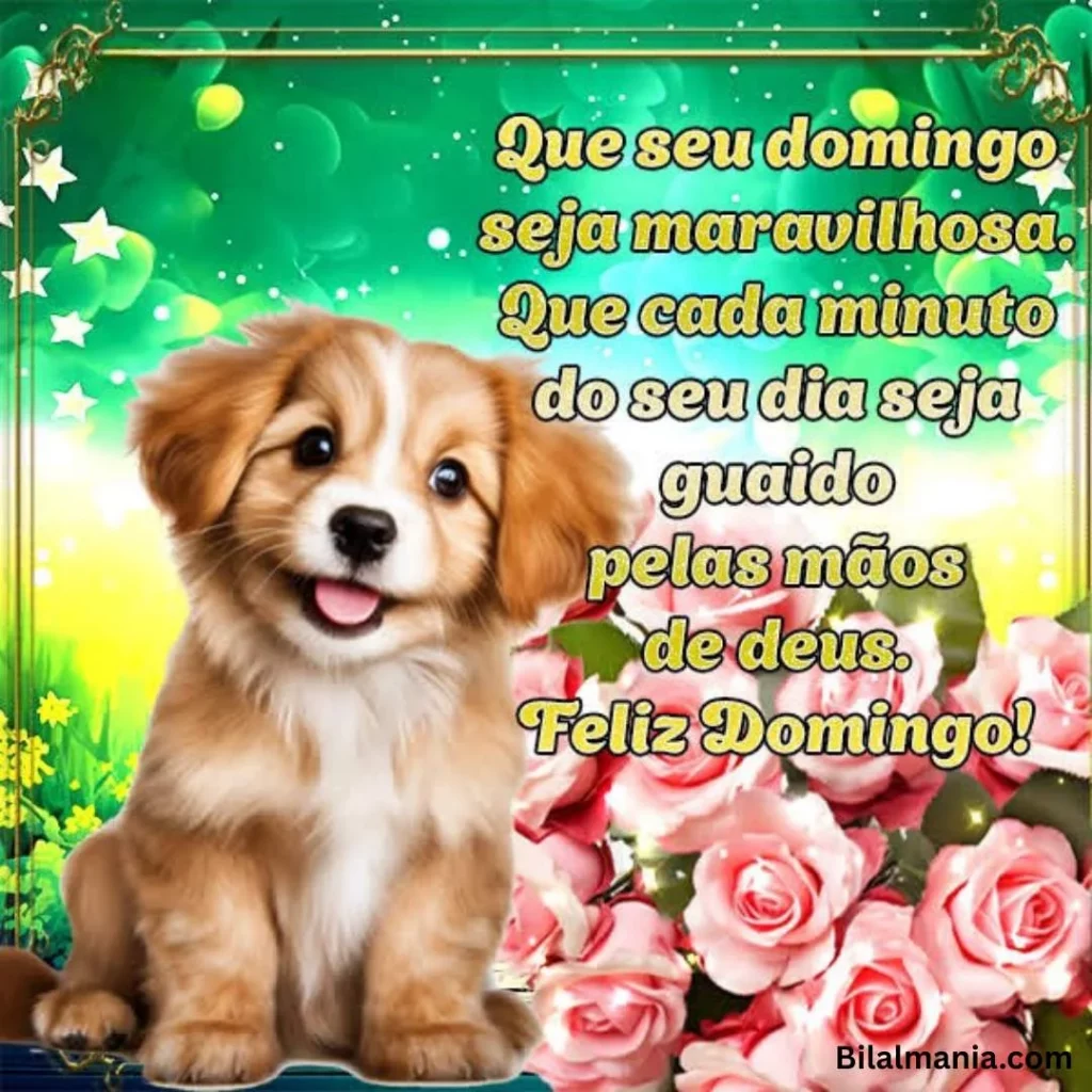 🔥 50+ Bom Dia Feliz Domingo com Imagens Lindas bom dia feliz domingo