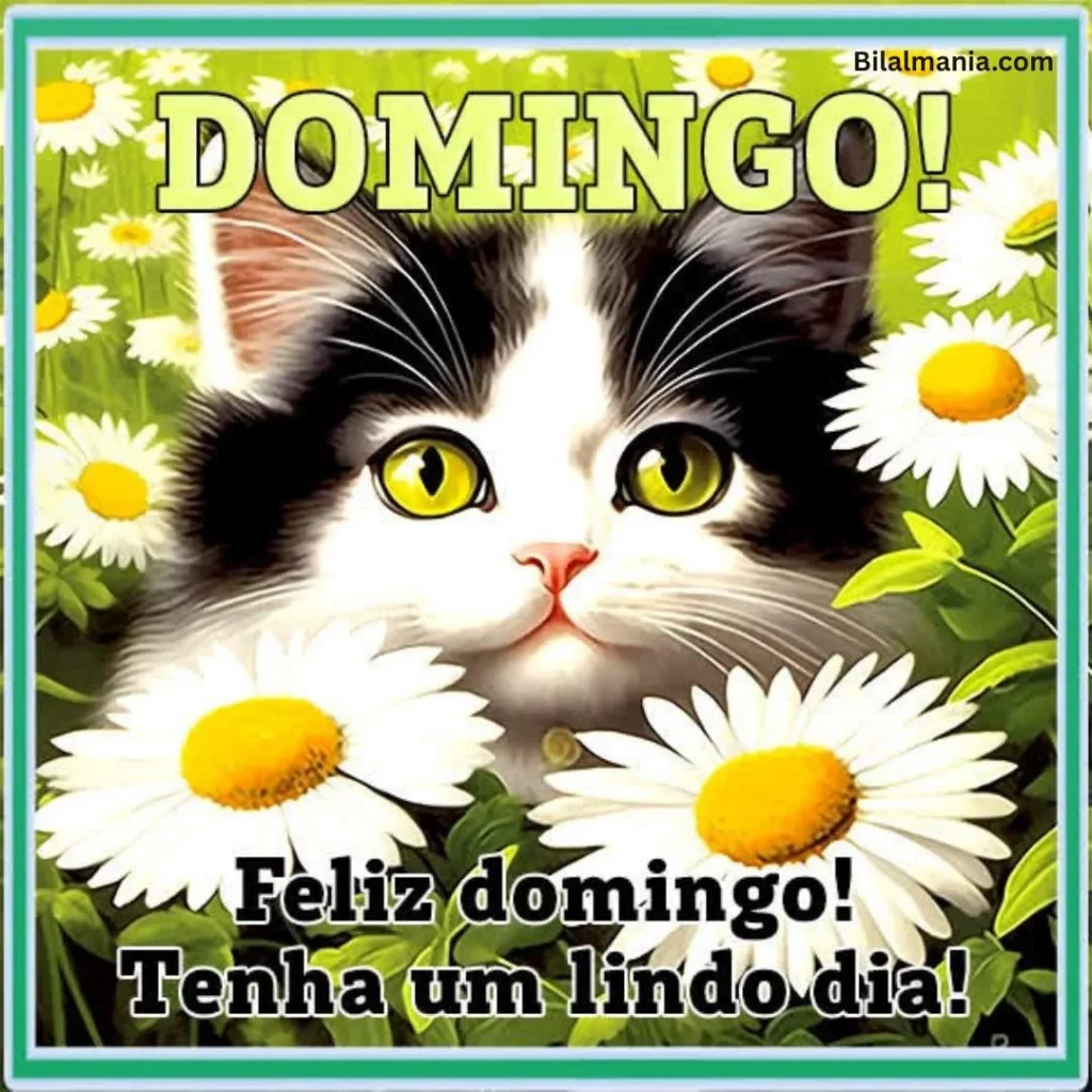🔥 50+ Bom Dia Feliz Domingo com Imagens Lindas bom dia feliz domingo