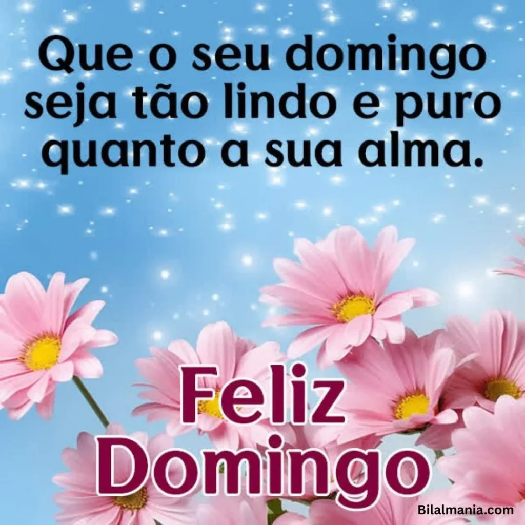 🔥 50+ Bom Dia Feliz Domingo com Imagens Lindas bom dia feliz domingo