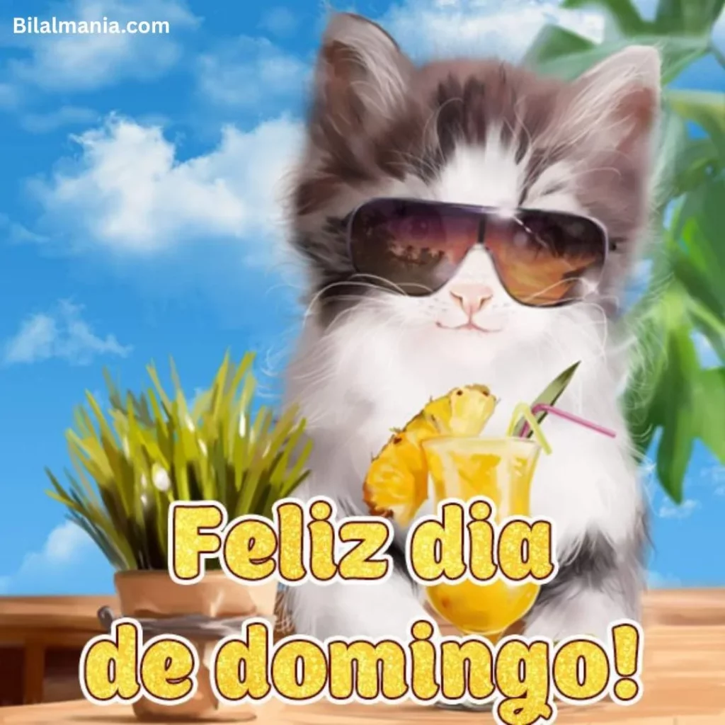 🔥 50+ Bom Dia Feliz Domingo com Imagens Lindas bom dia feliz domingo abençoado