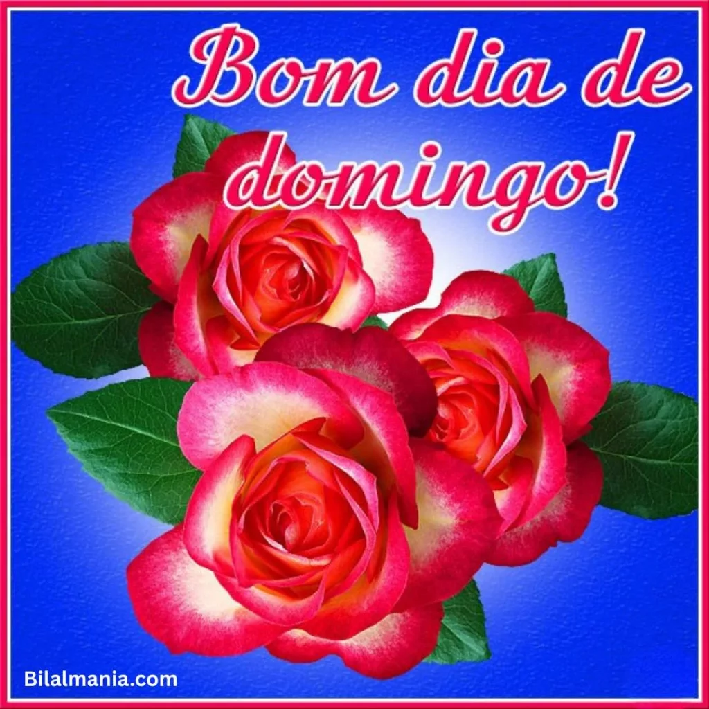 🔥 50+ Bom Dia Feliz Domingo com Imagens Lindas bom dia feliz domingo abençoado
