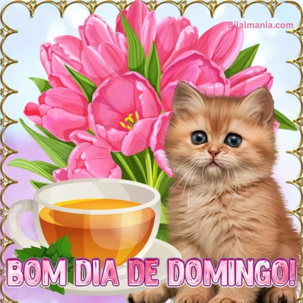 🔥 50+ Bom Dia Feliz Domingo com Imagens Lindas bom dia feliz domingo abençoado