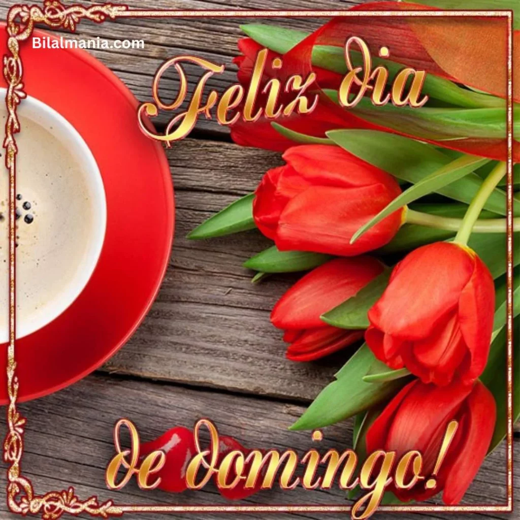 🔥 50+ Bom Dia Feliz Domingo com Imagens Lindas bom dia feliz domingo abençoado