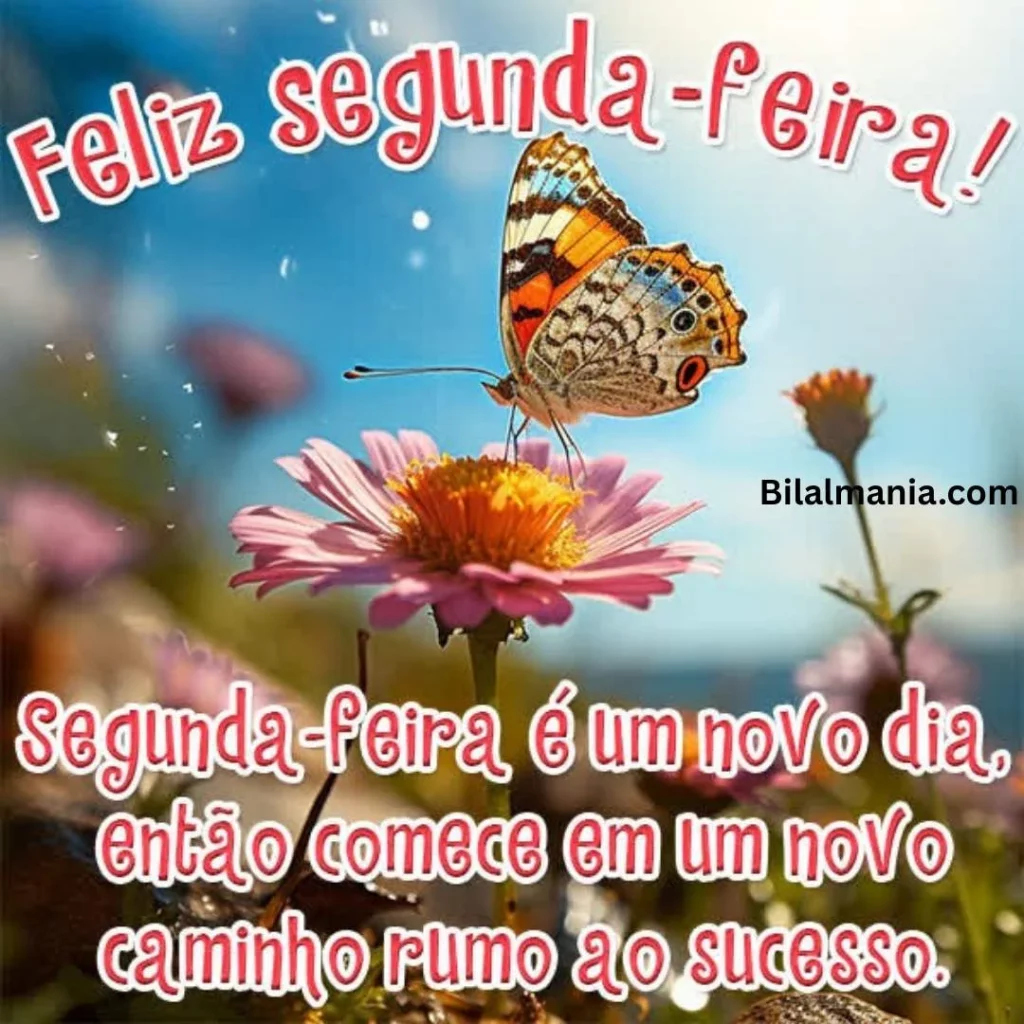 bom dia feliz segunda-feira e abençoada semana