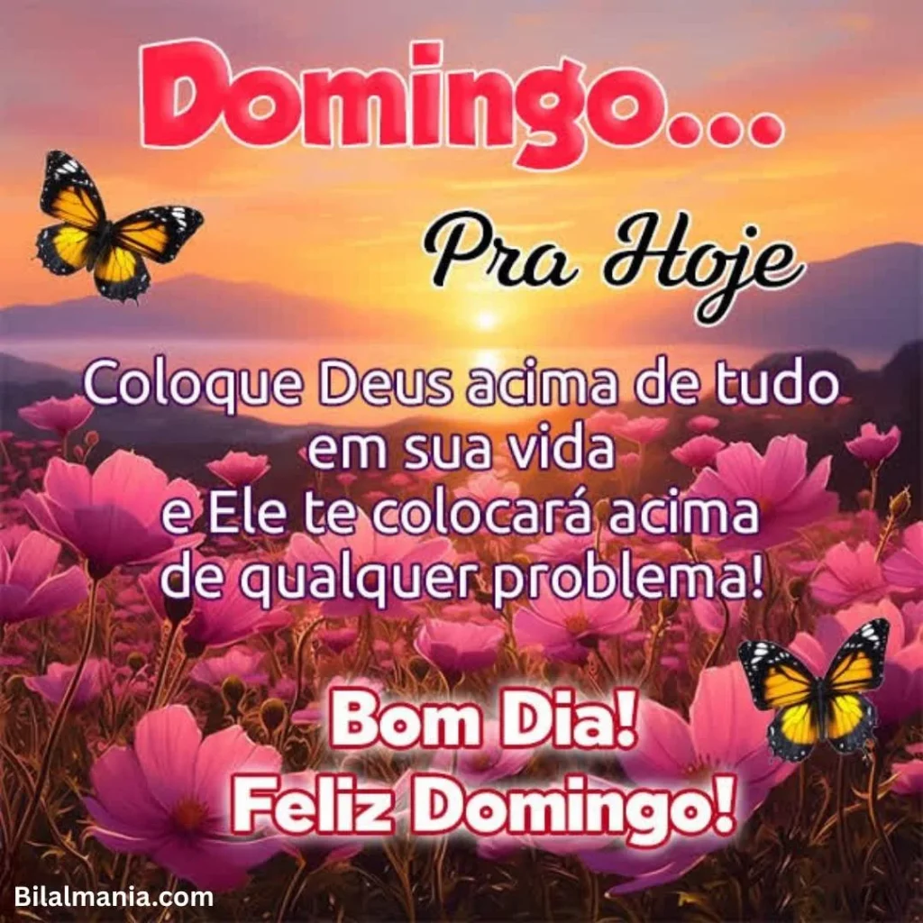🔥 50+ Bom Dia Feliz Domingo com Imagens Lindas feliz domingo
