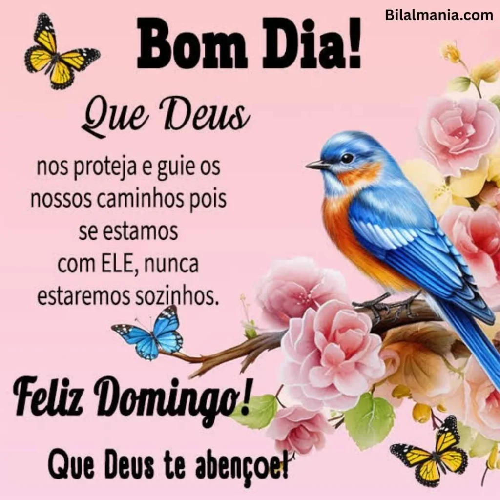 🔥 50+ Bom Dia Feliz Domingo com Imagens Lindas feliz domingo