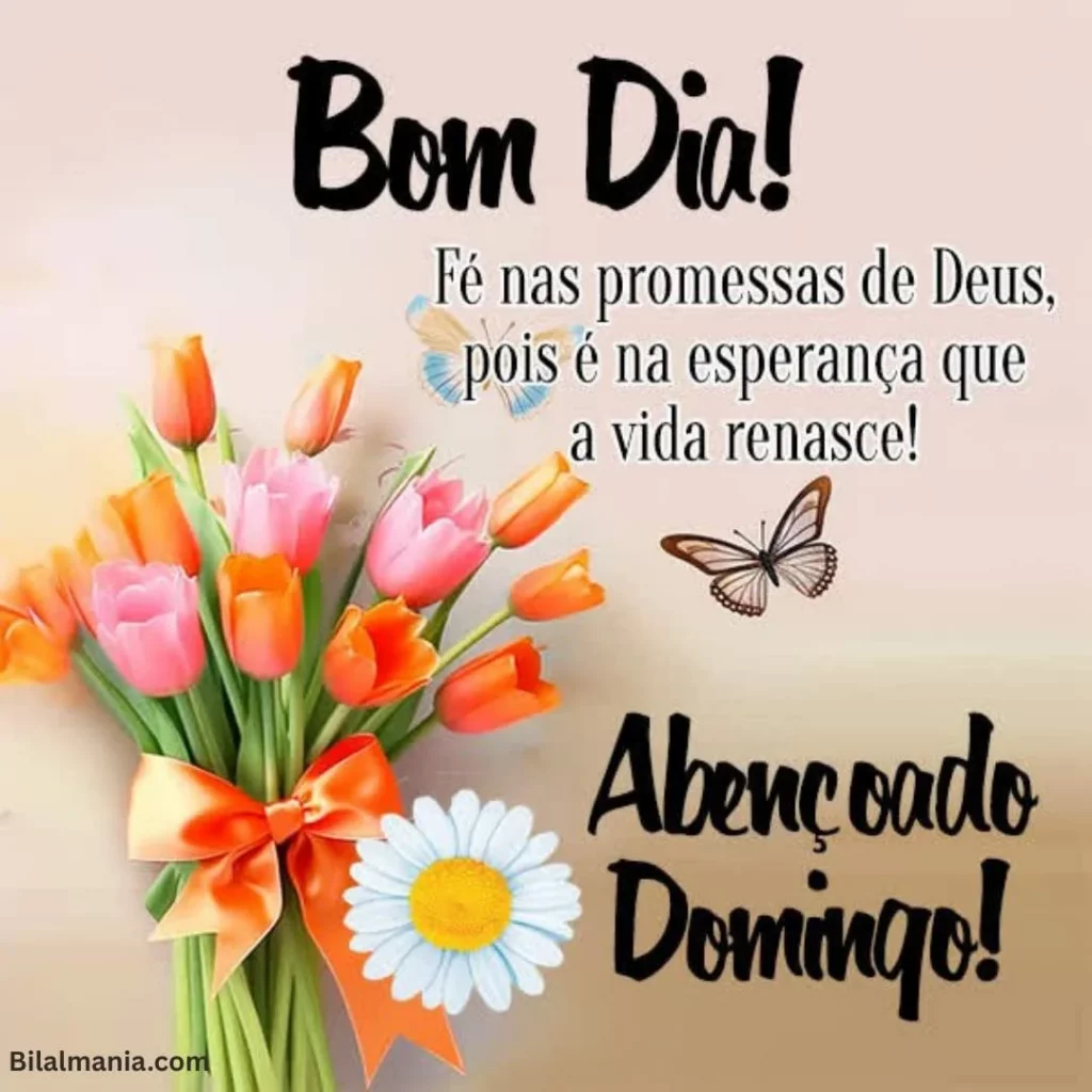 🔥 50+ Bom Dia Feliz Domingo com Imagens Lindas feliz domingo abençoado
