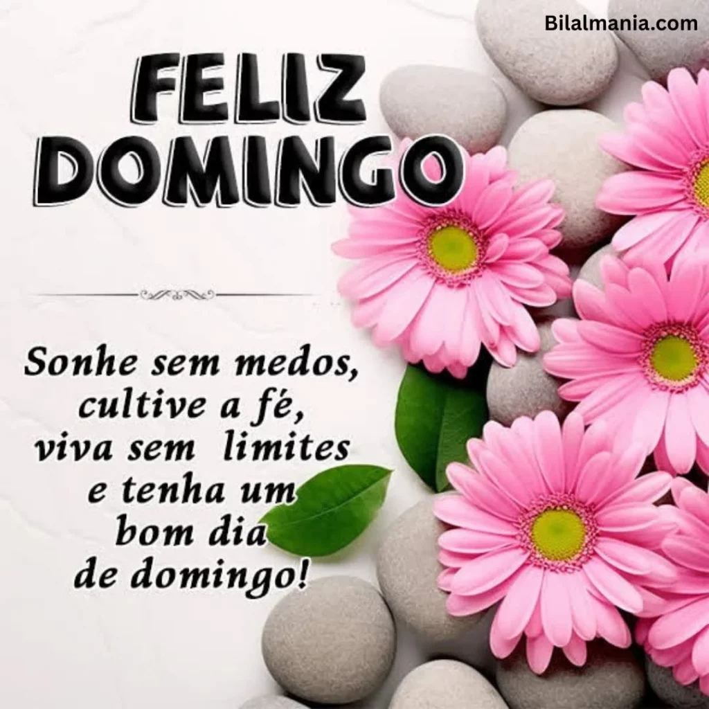 🔥 50+ Bom Dia Feliz Domingo com Imagens Lindas feliz domingo bom dia