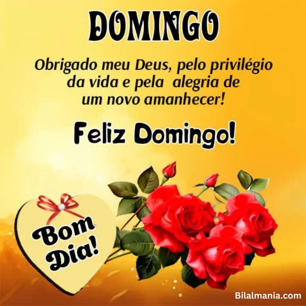 feliz domingo bom dia