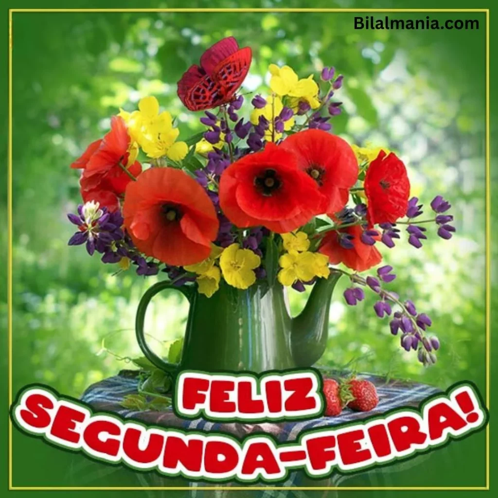feliz segunda-feira