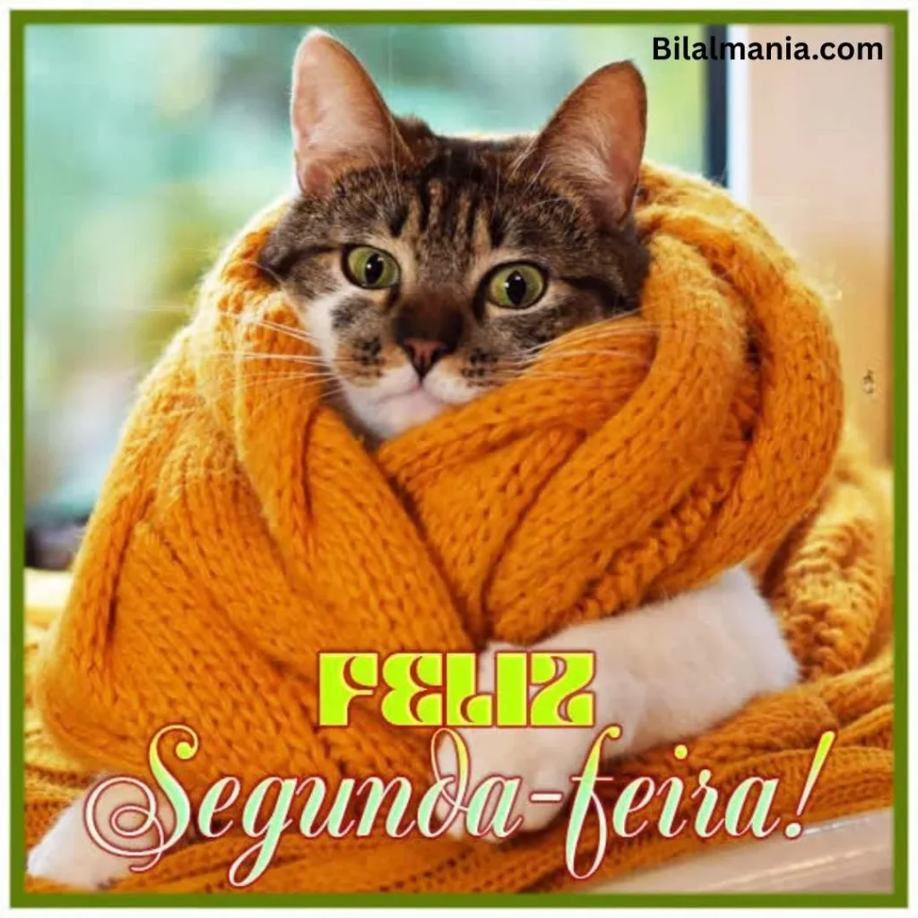 feliz segunda-feira