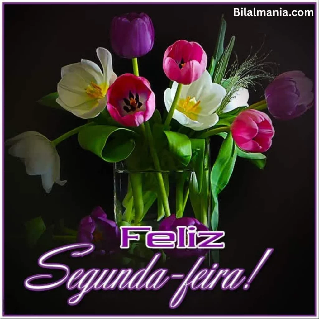 feliz segunda-feira