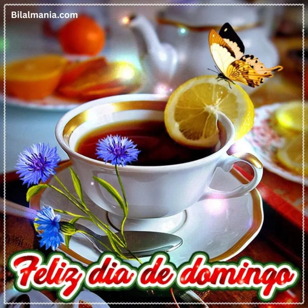 🔥 50+ Bom Dia Feliz Domingo com Imagens Lindas mensagem de bom dia feliz domingo