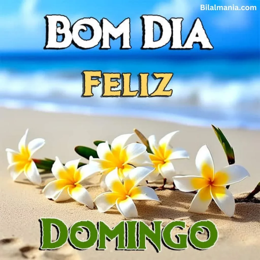 🔥 50+ Bom Dia Feliz Domingo com Imagens Lindas mensagem de bom dia feliz domingo