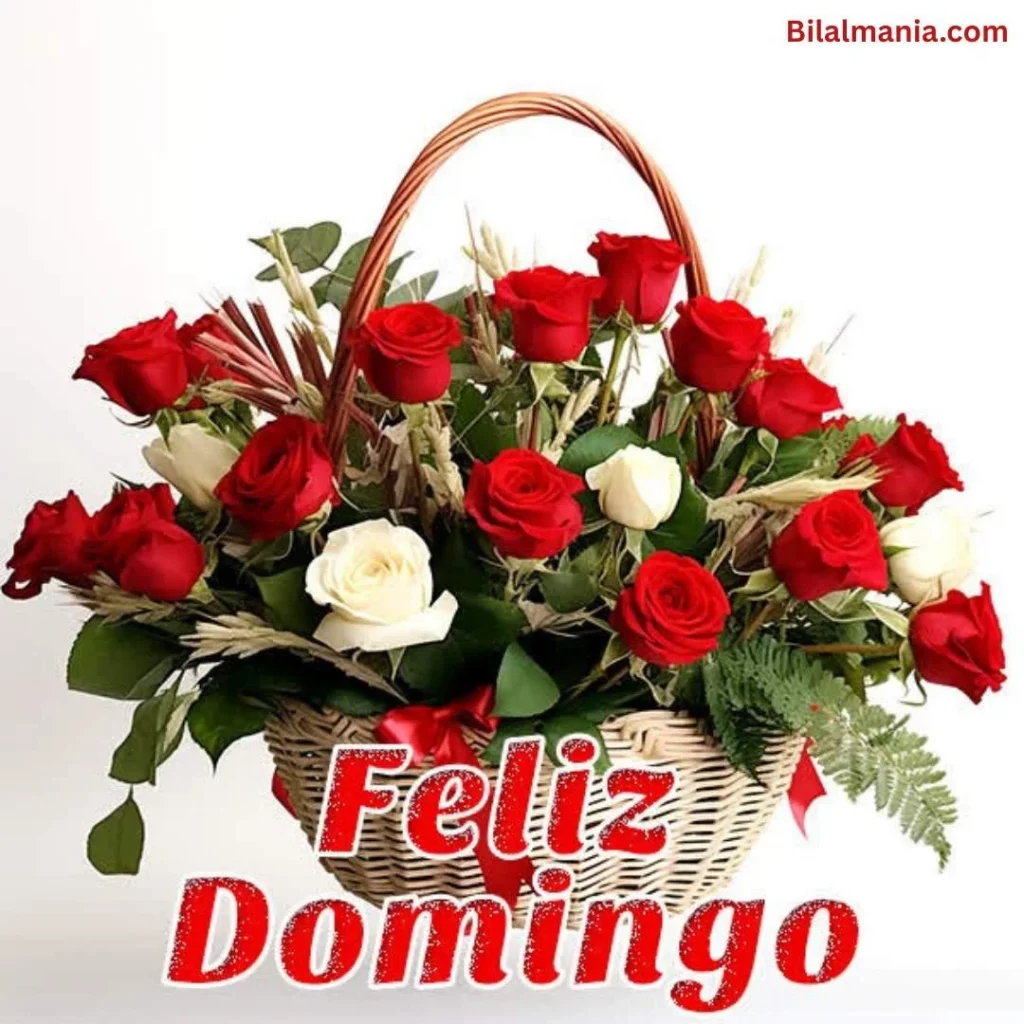 🔥 50+ Bom Dia Feliz Domingo com Imagens Lindas mensagem de feliz domingo abençoado