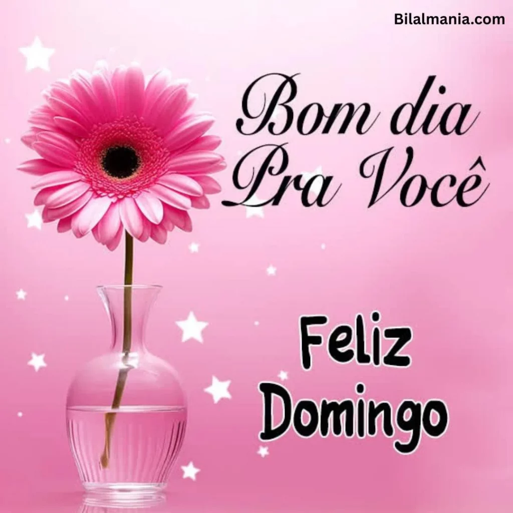 🔥 50+ Bom Dia Feliz Domingo com Imagens Lindas mensagem de feliz domingo abençoado