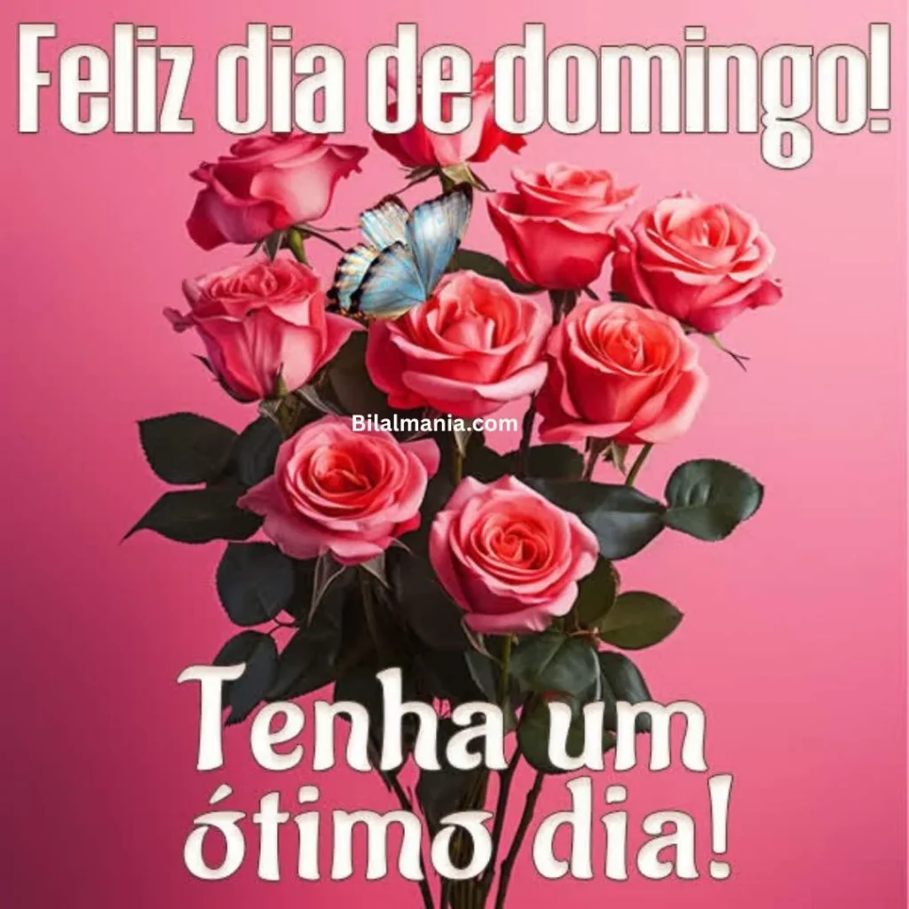 🔥 50+ Bom Dia Feliz Domingo com Imagens Lindas mensagem de feliz domingo abençoado