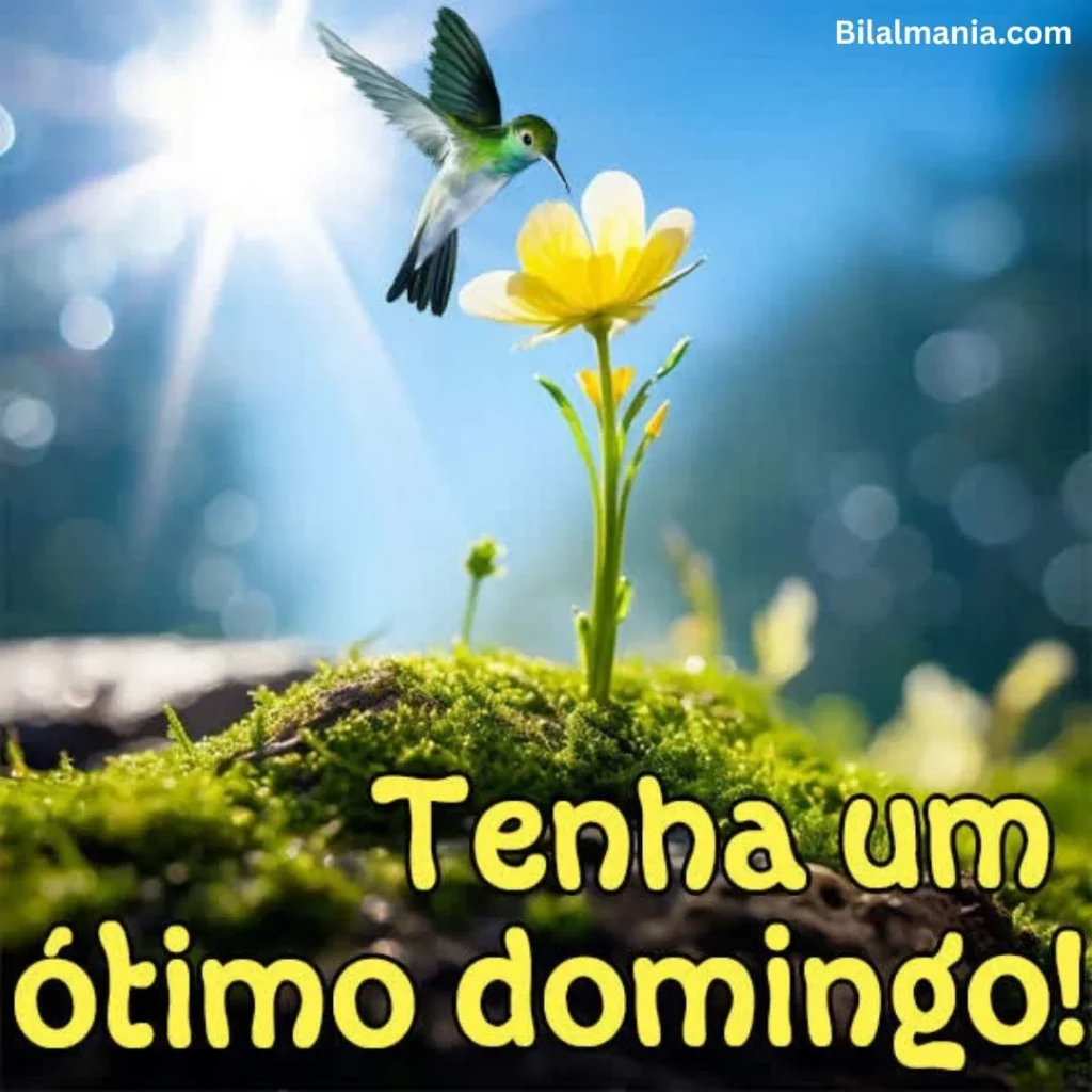 🔥 50+ Bom Dia Feliz Domingo com Imagens Lindas mensagem de feliz domingo abençoado