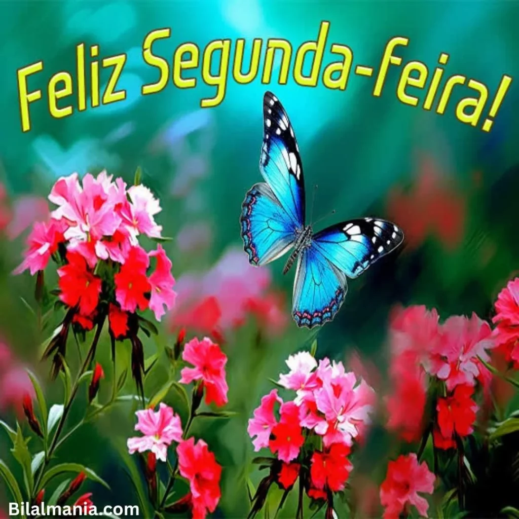 mensagem de feliz segunda-feira