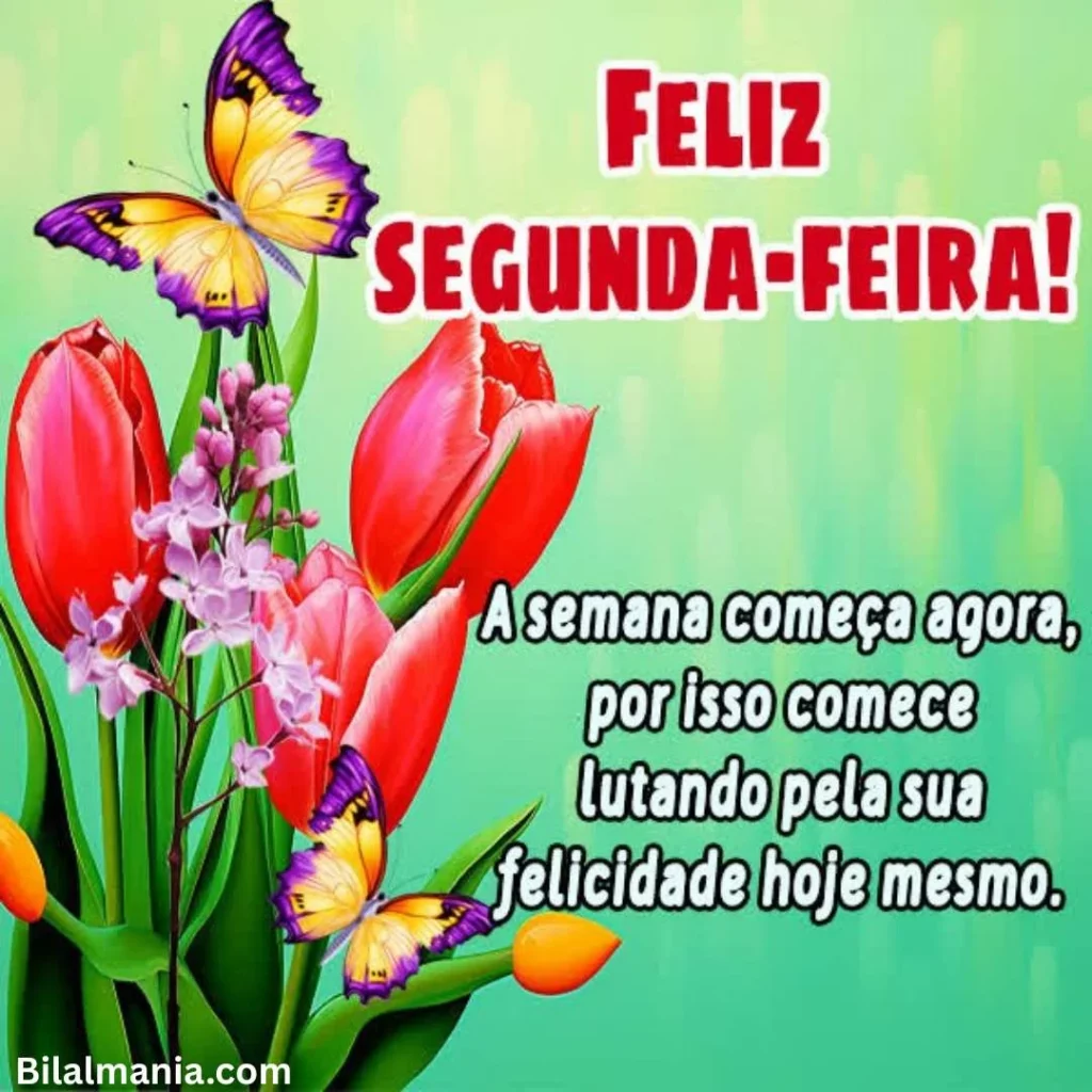 mensagem de feliz segunda-feira